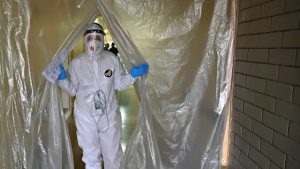 Penyebaran Virus West Nile: Peringatan bagi Masyarakat Israel Penyebaran Virus West Nile: Peringatan bagi Masyarakat Israel